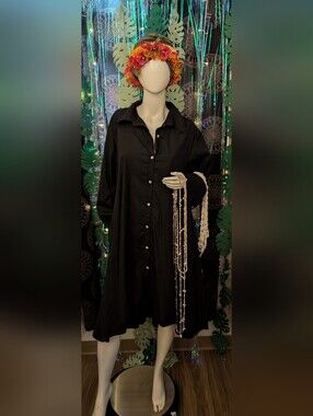 Step In Style Long sleeve Button Up Dress
